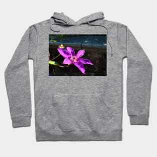 Purple Clematis Hoodie